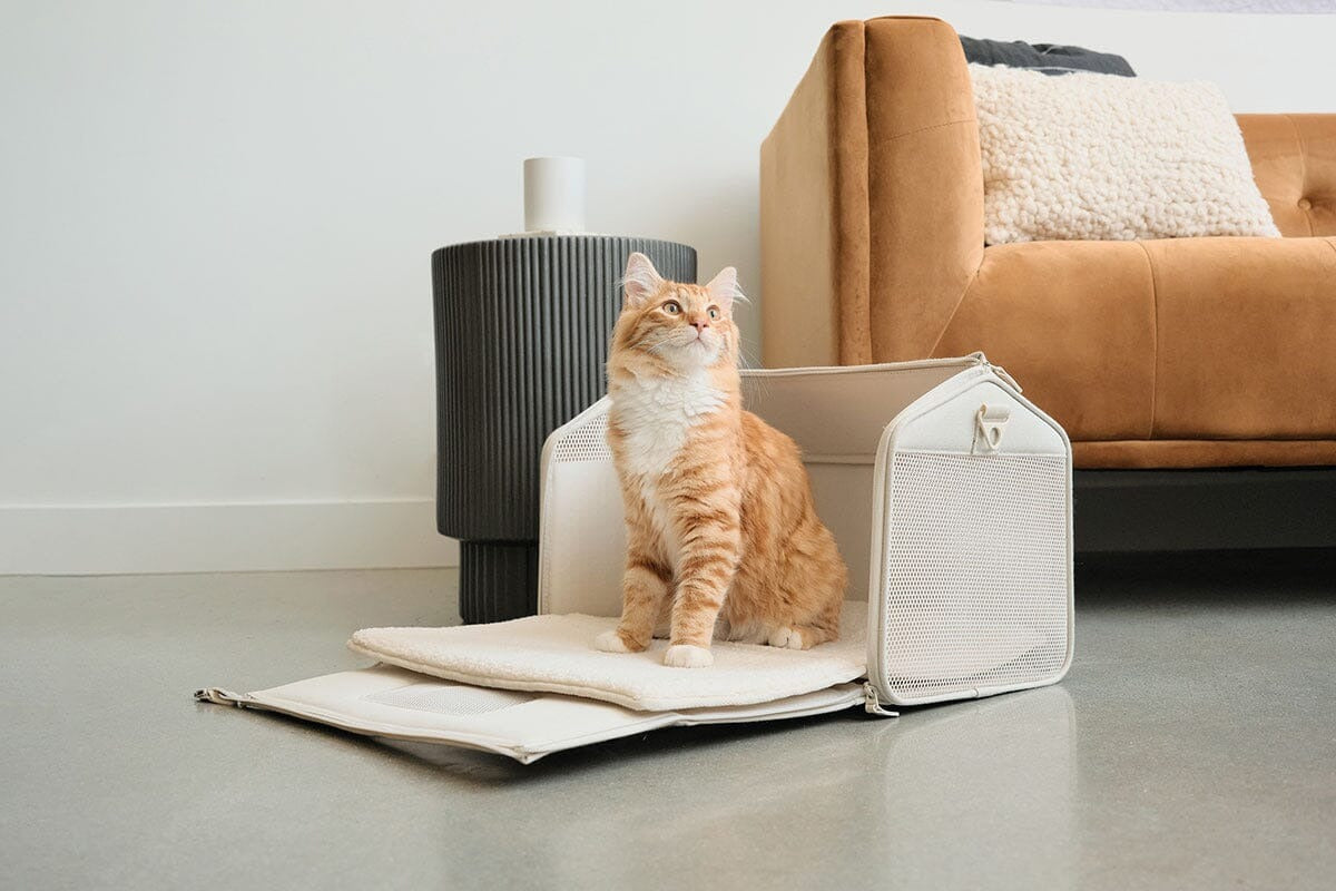 tuft + paw Porto Cat Carrier