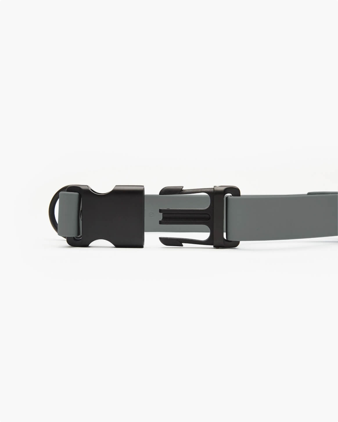 Signature Collar