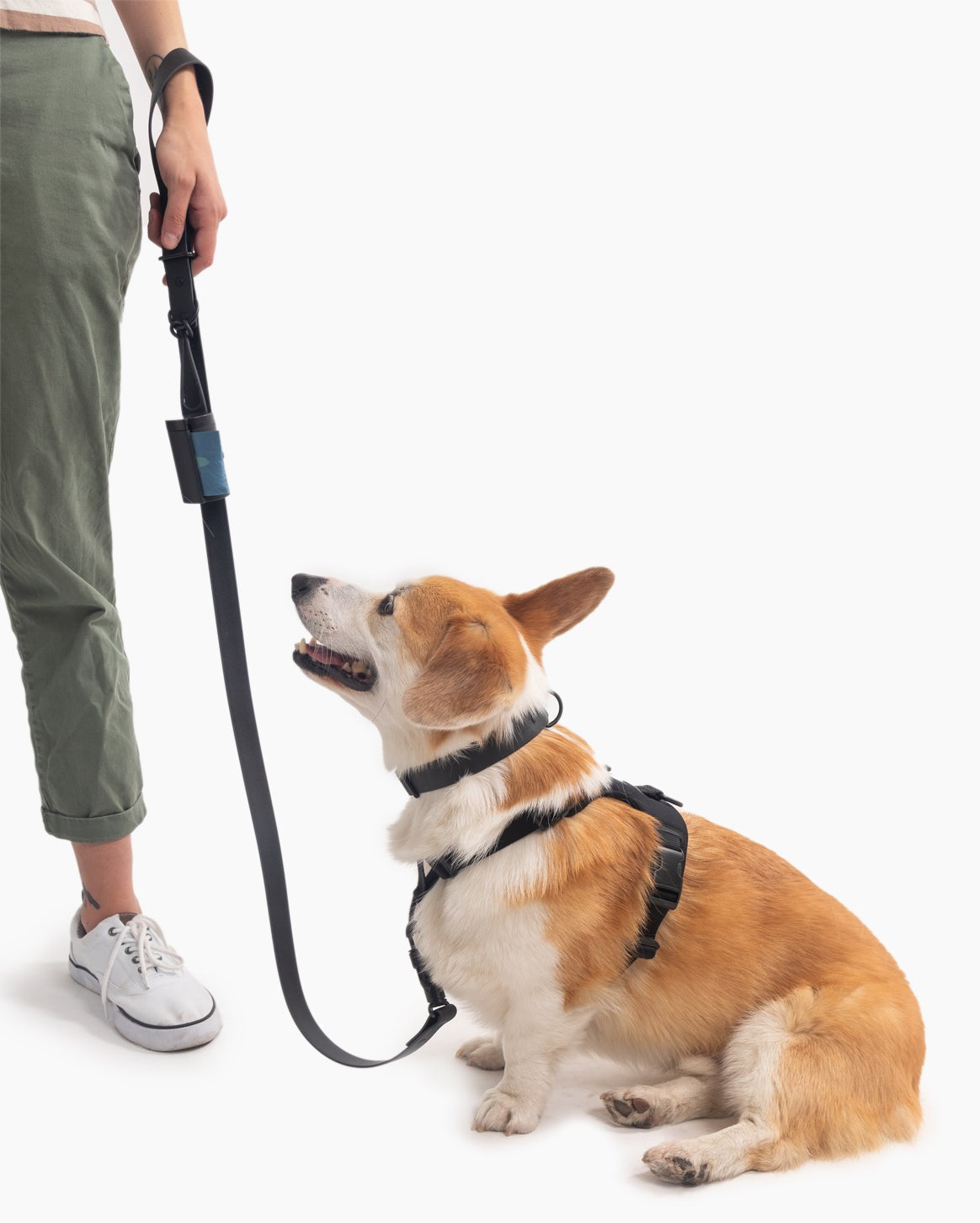 Ultimate Walk Set