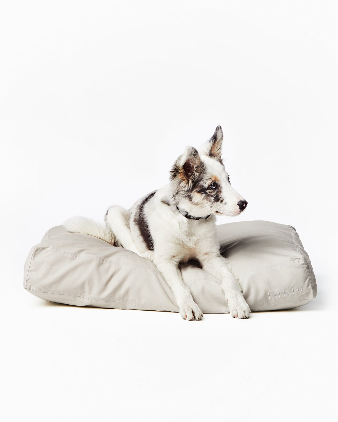 Bed Cover