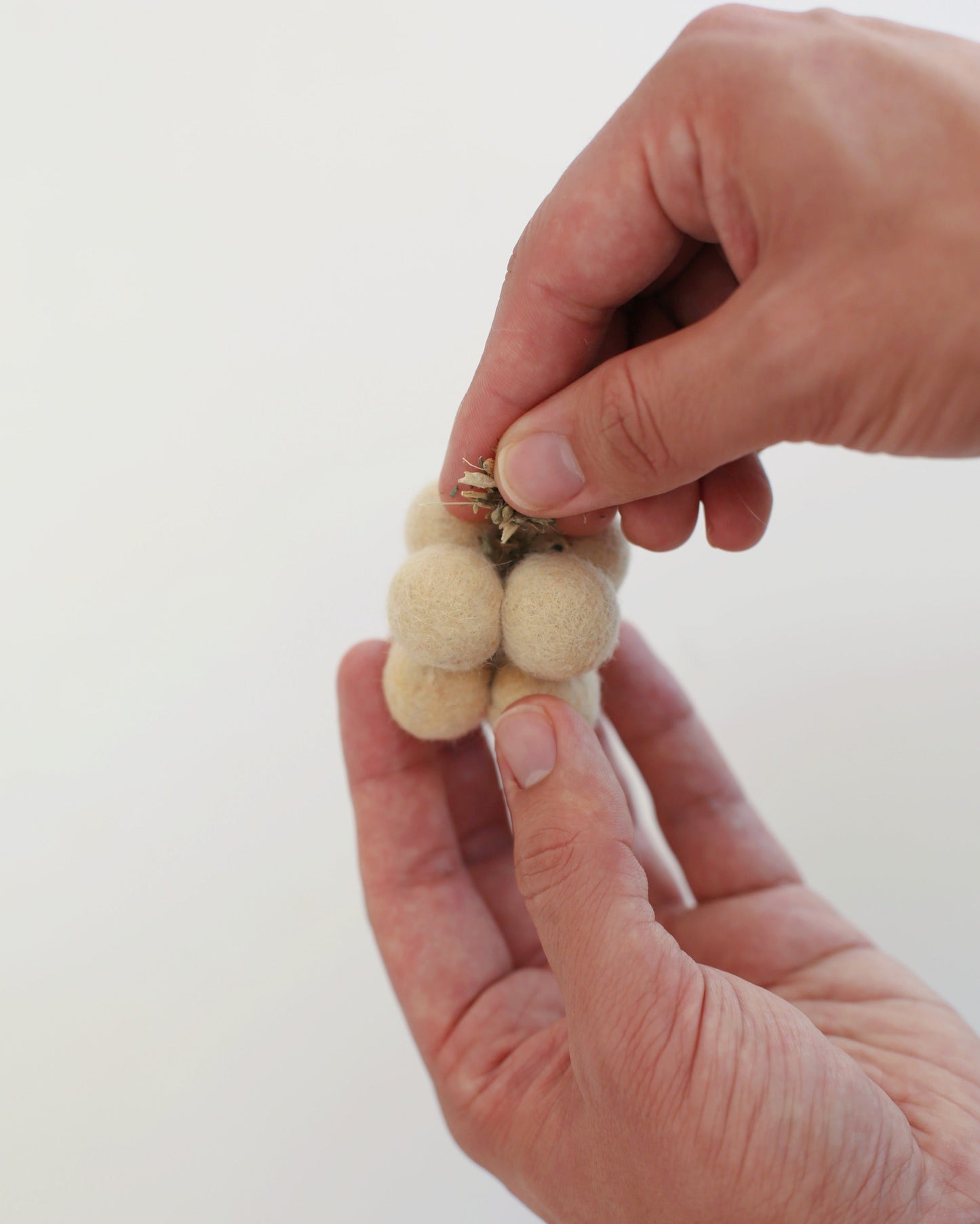Catenary Pearl Toys