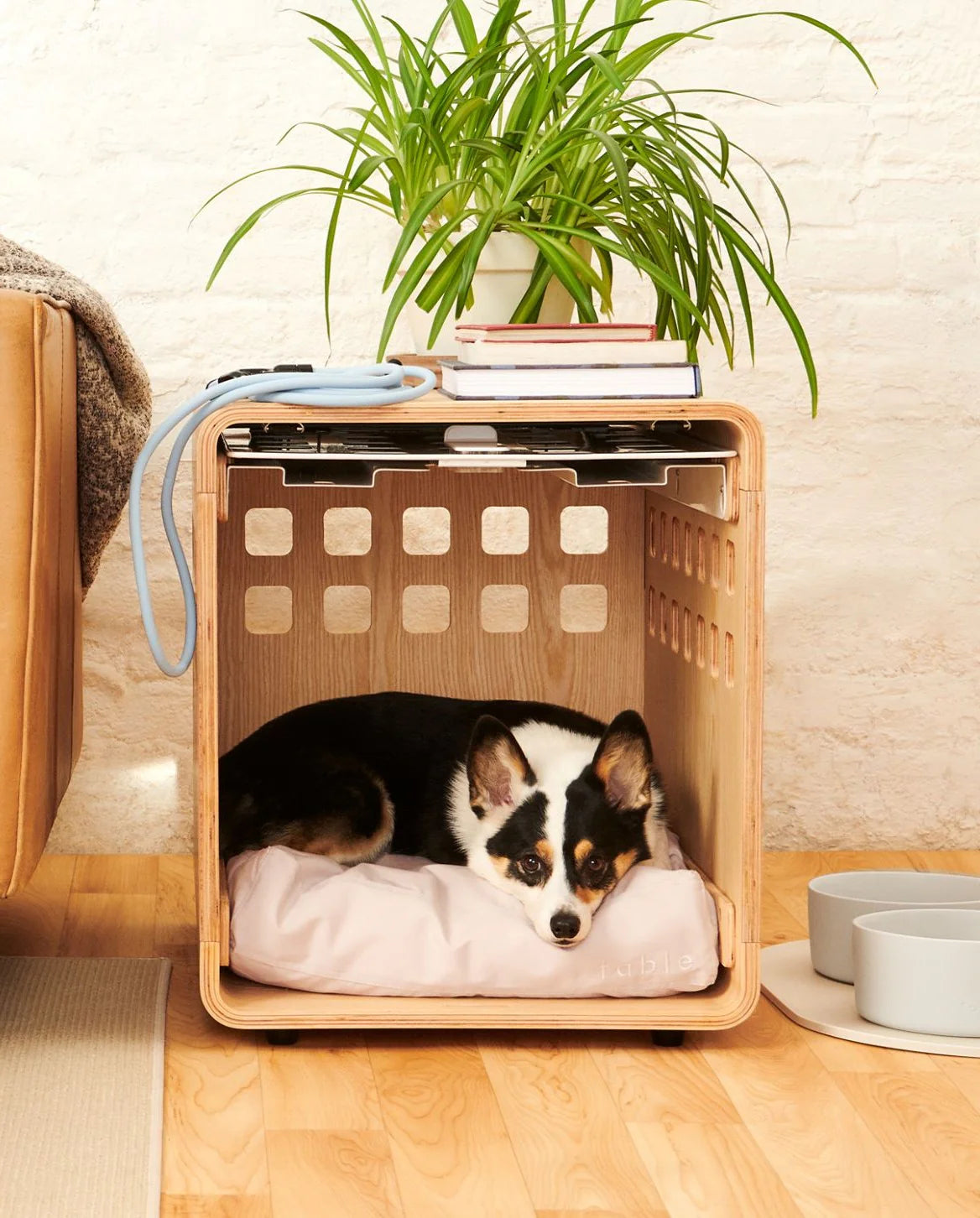 liuqs_job_49_home_01_9a6ea3e81a.webp