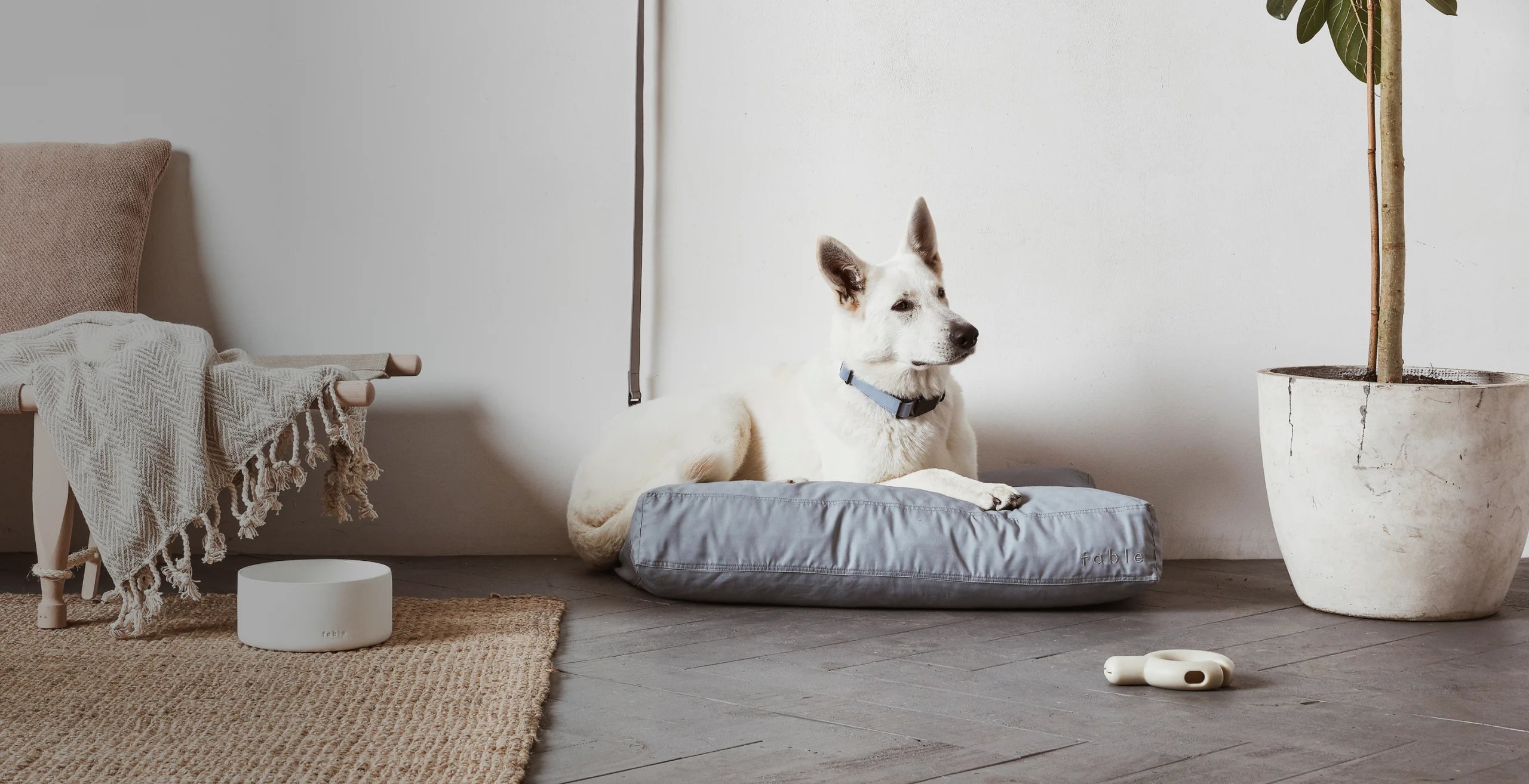liuqs_job_49_home_03_1cfcc7d1f2.webp