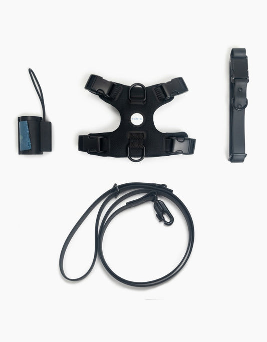 Ultimate Walk Set