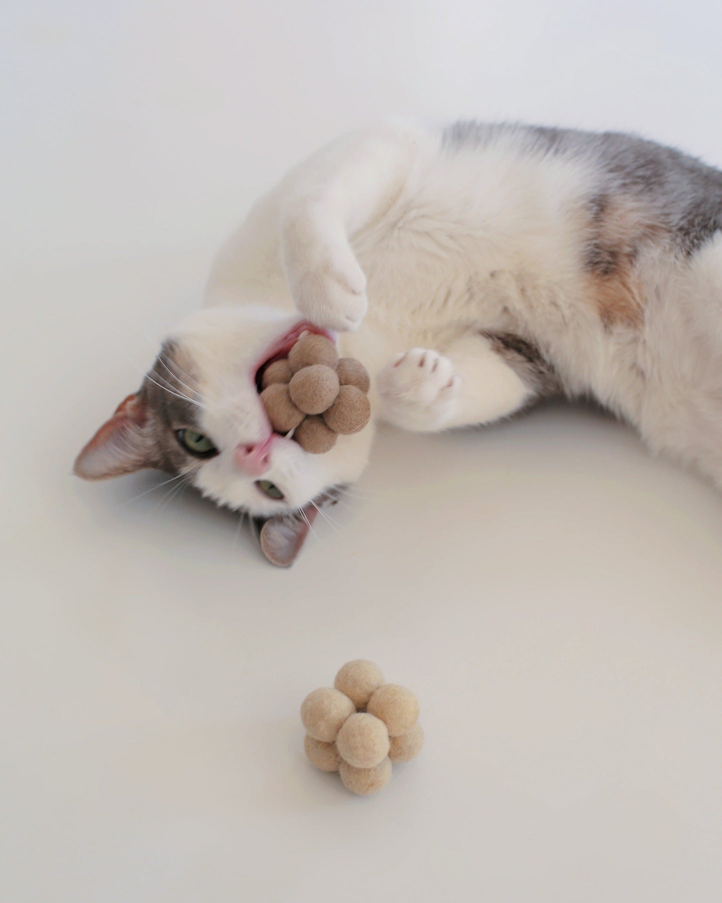 Catenary Pearl Toys