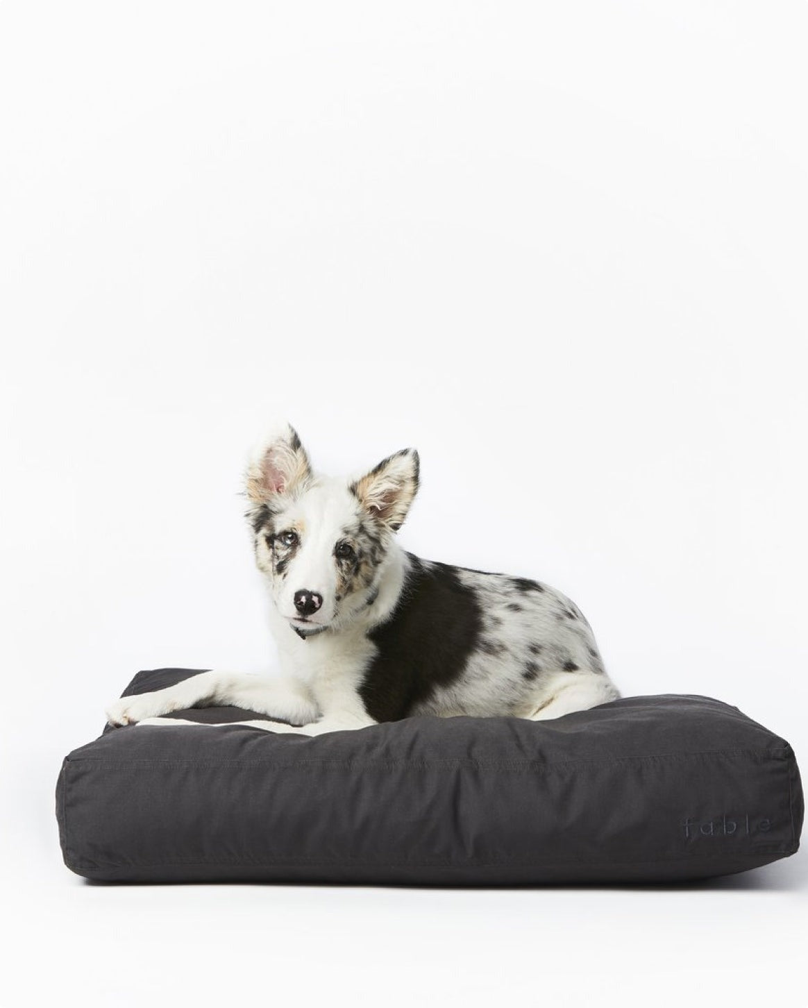 Bed Cover