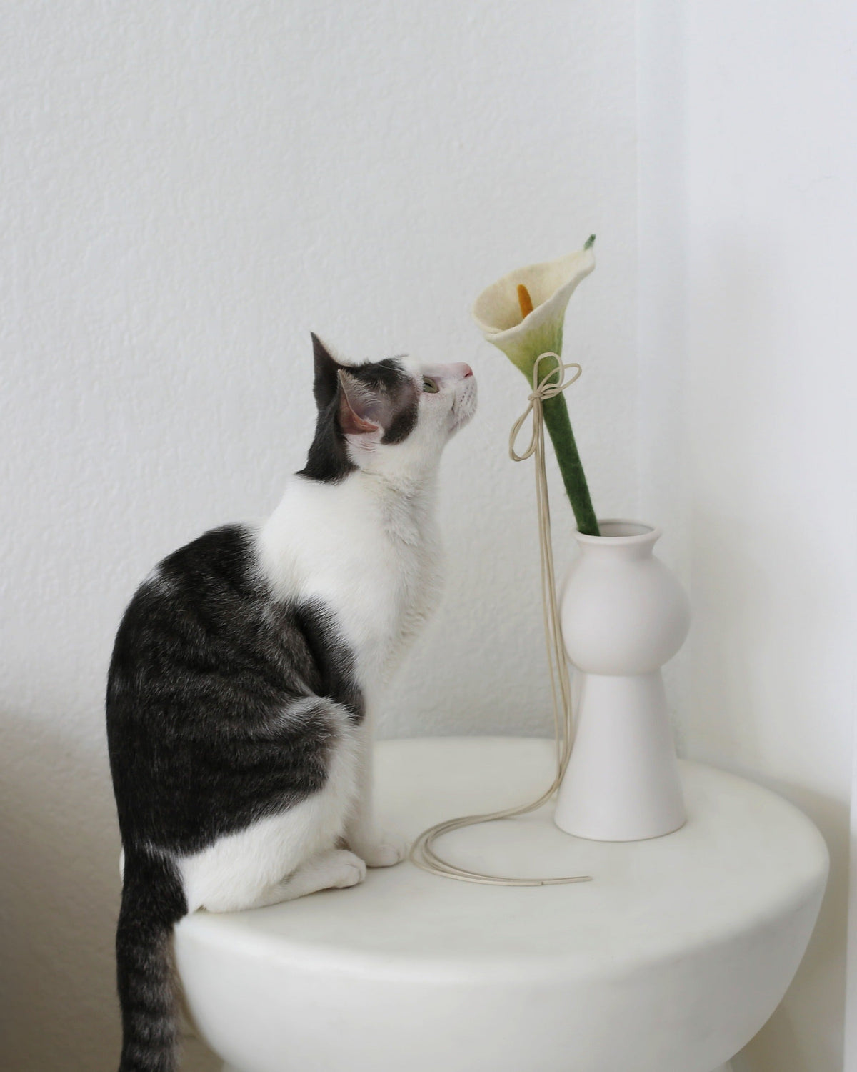 Catenary Flora Wand