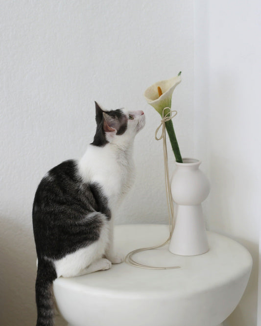 Catenary Flora Wand