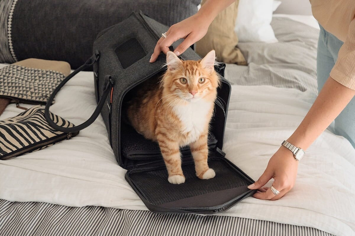 tuft + paw Porto Cat Carrier