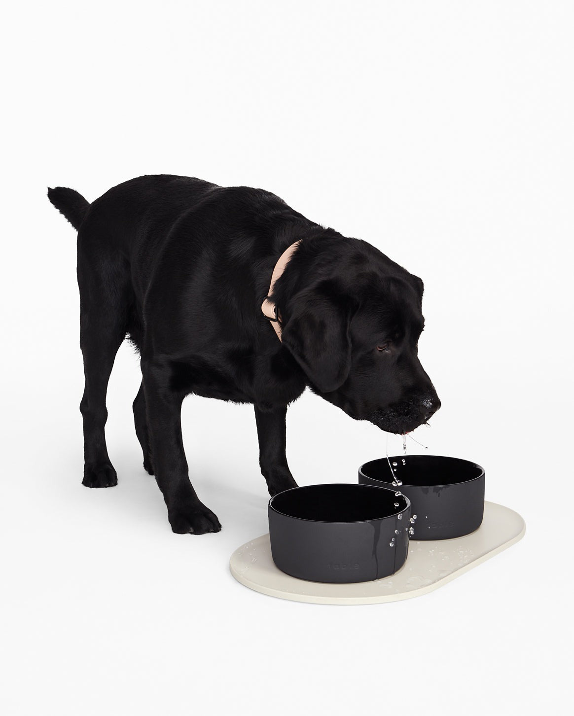 Signature Bowl Mat