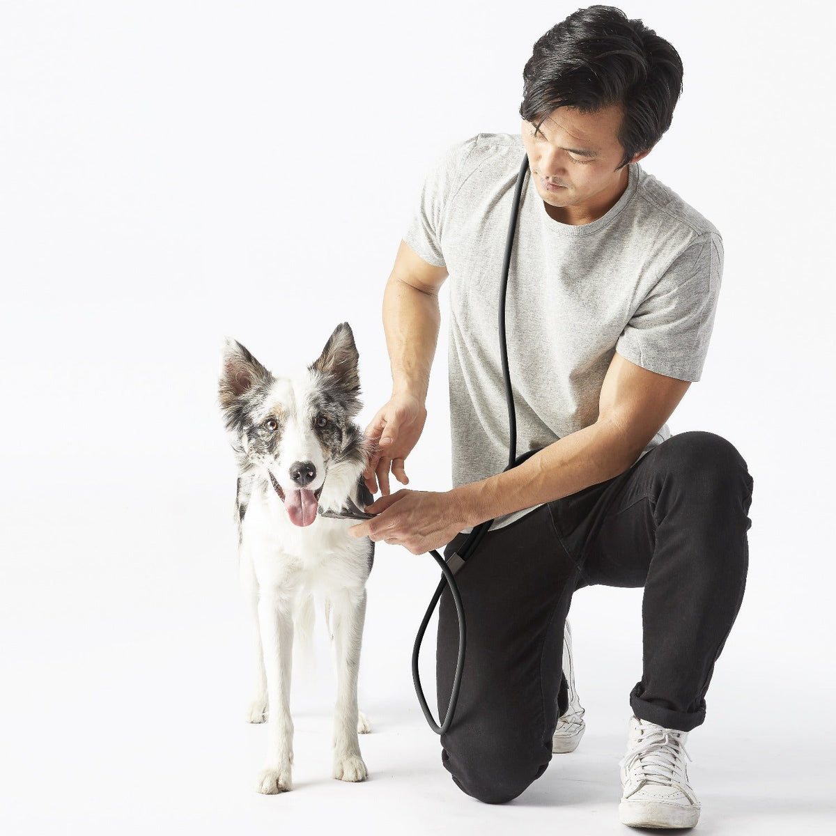 Magic Leash®