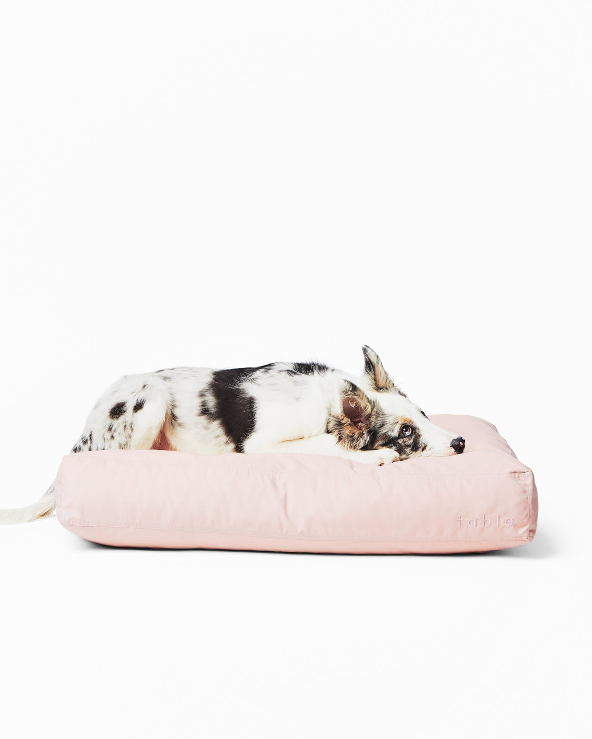 Bed Cover