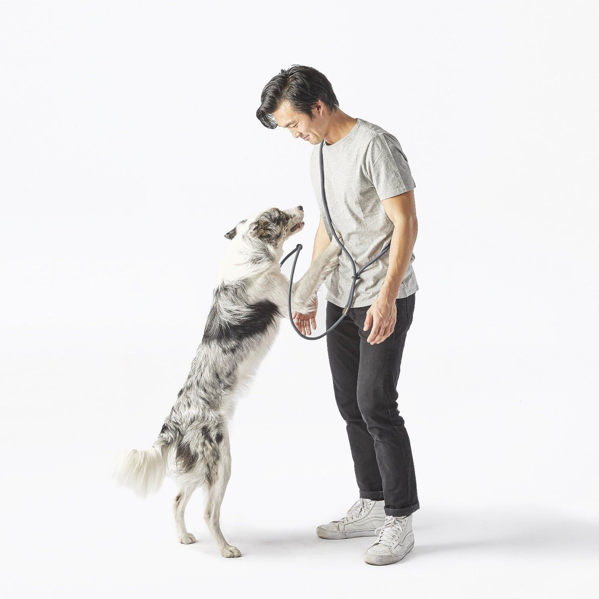 Magic Leash®