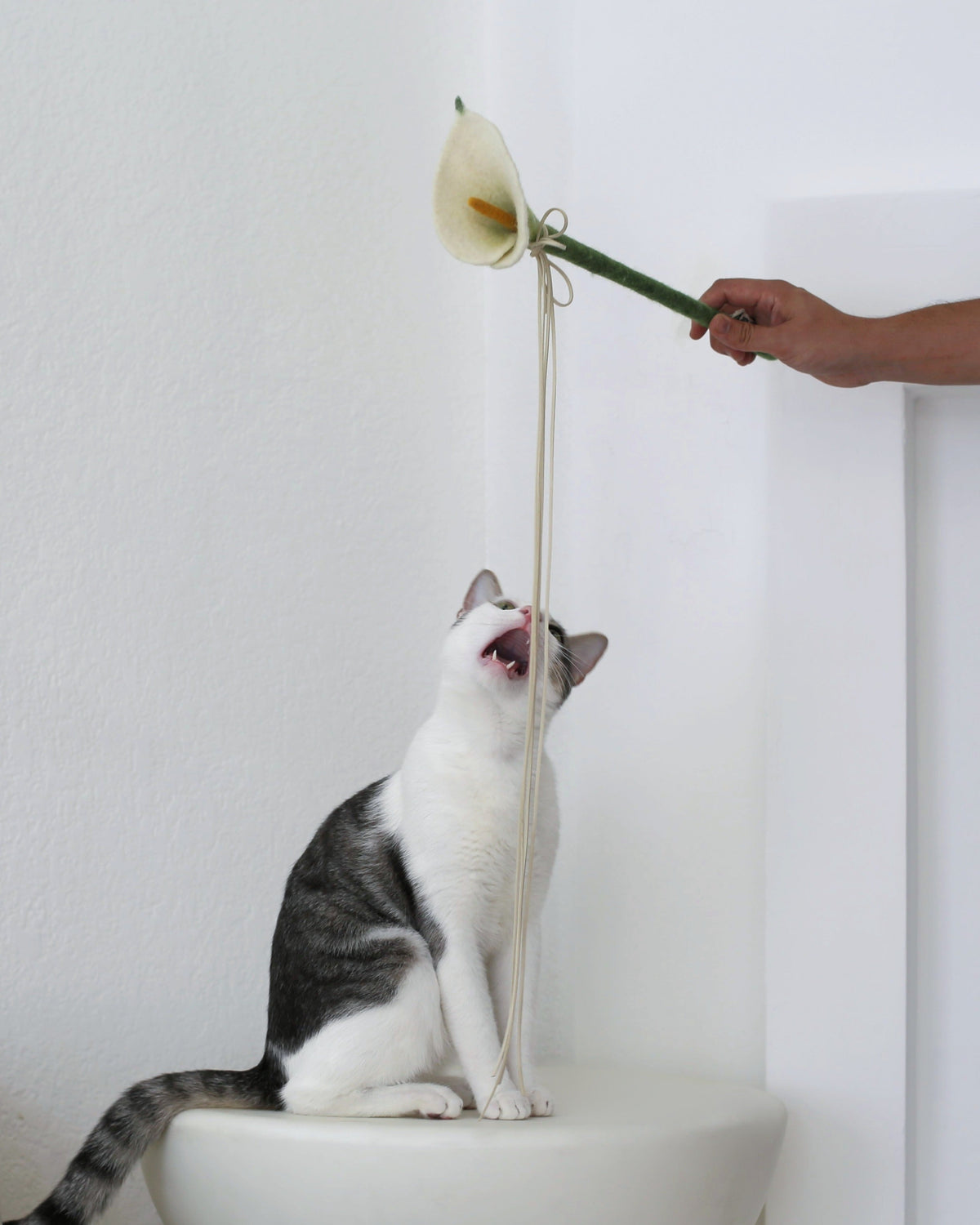 Catenary Flora Wand