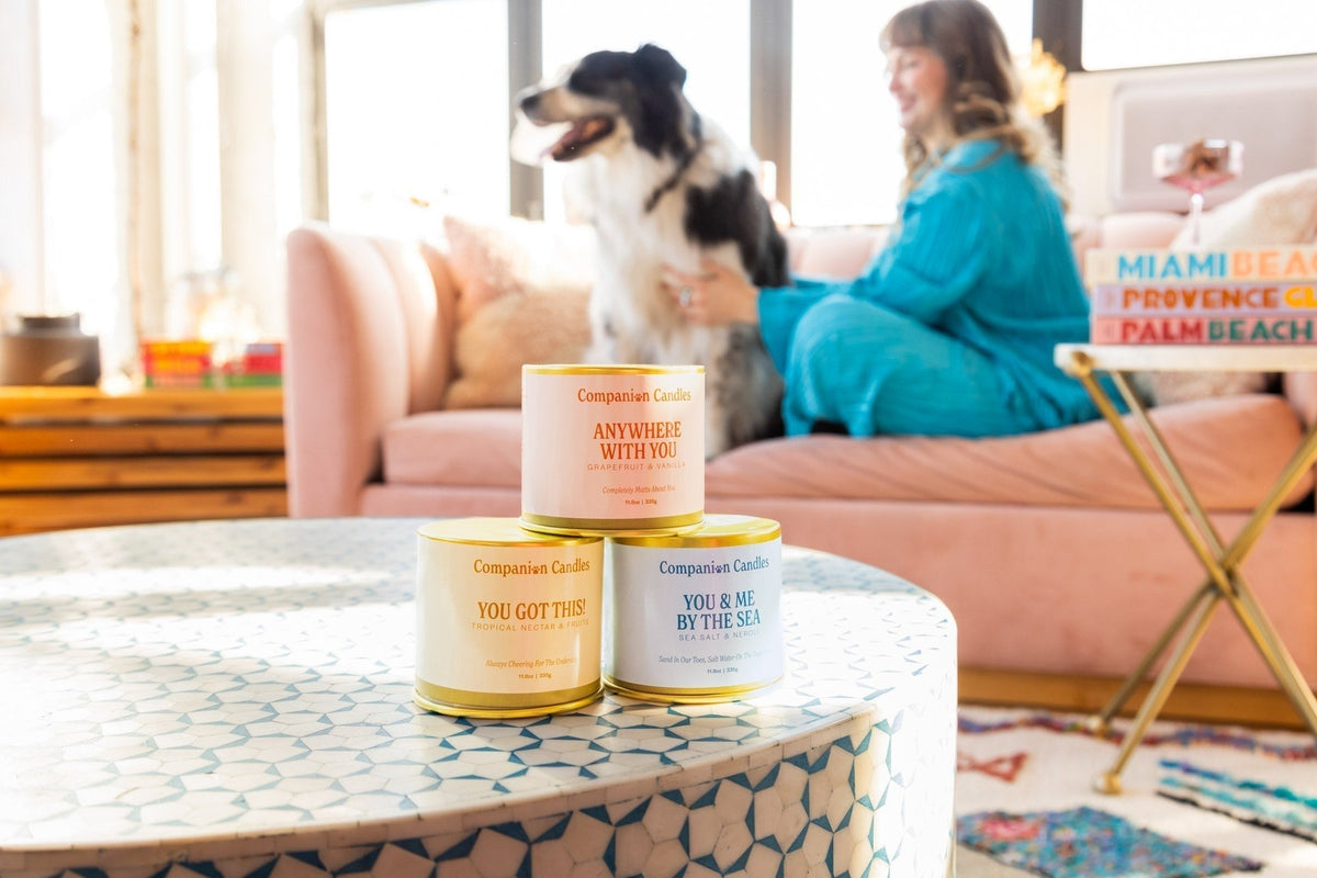 Companion Candles You Got This!
