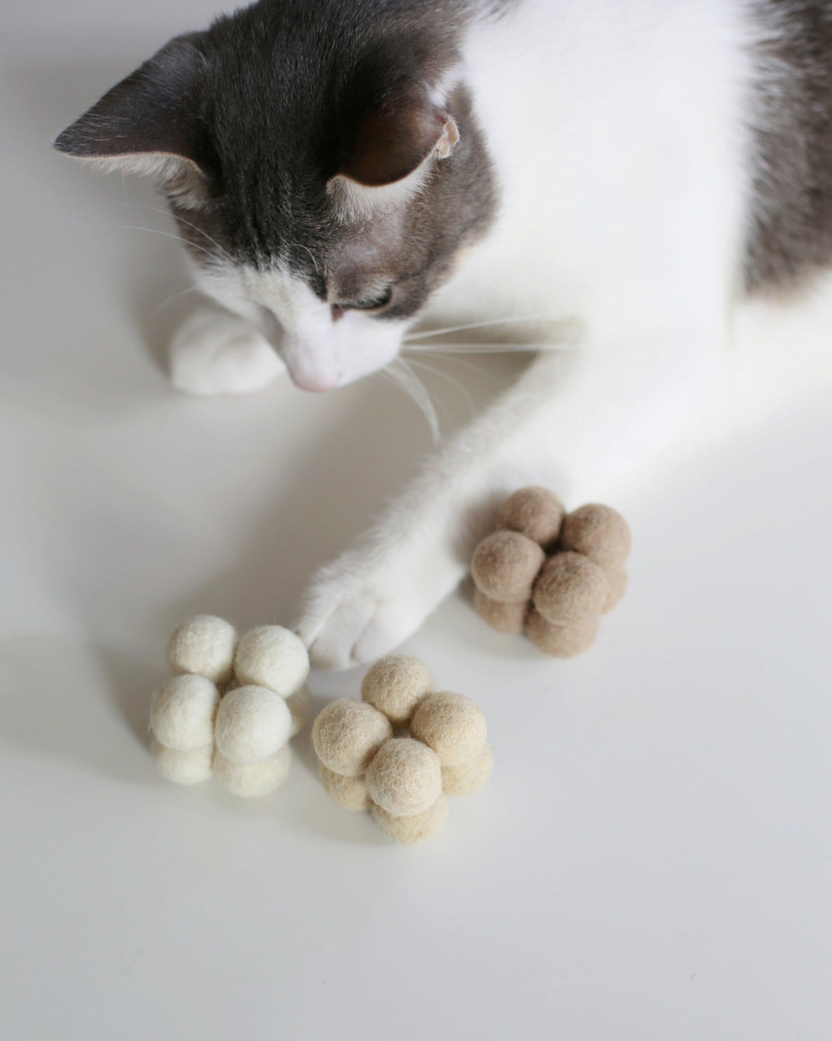 Catenary Pearl Toys