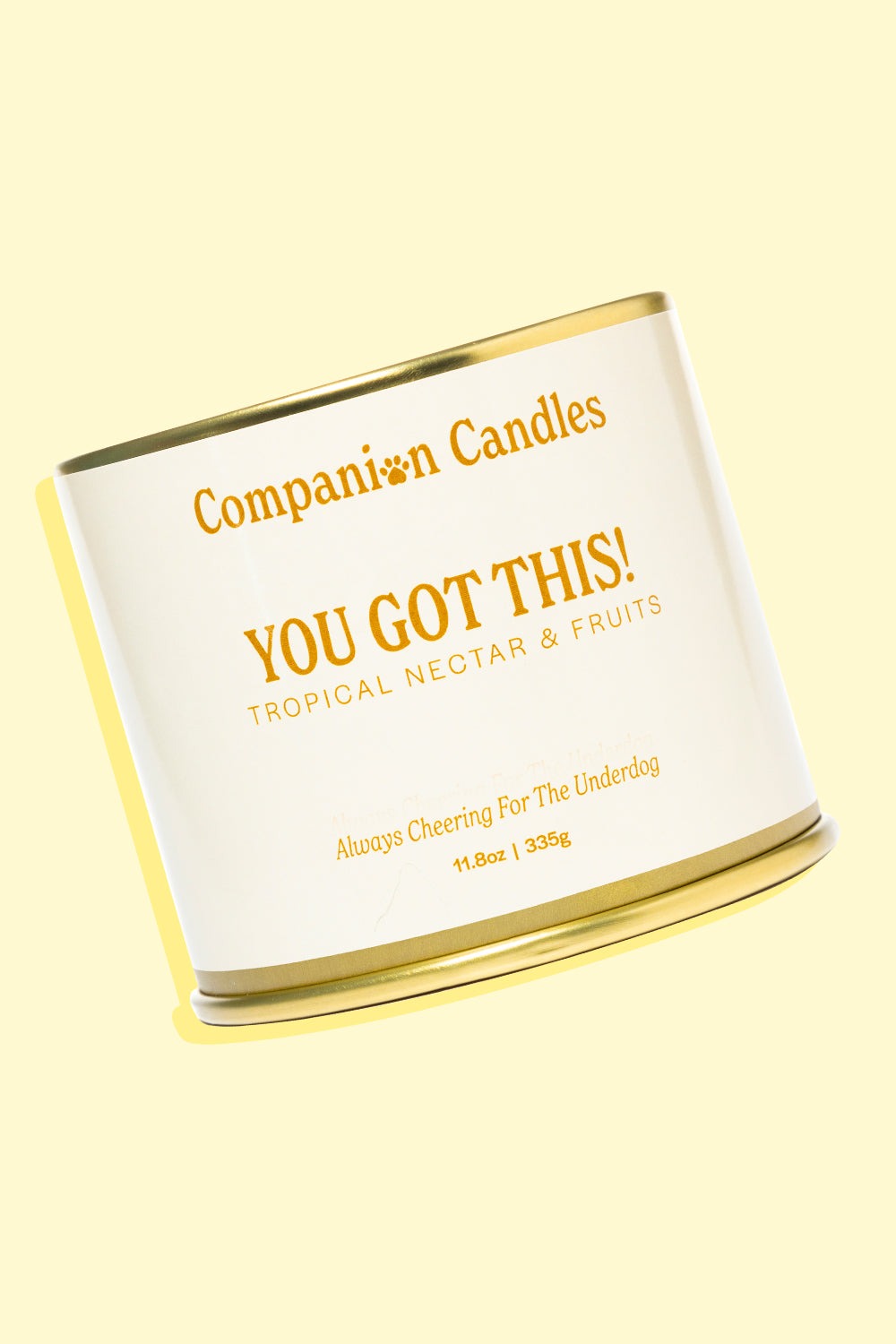 Companion Candles You Got This!